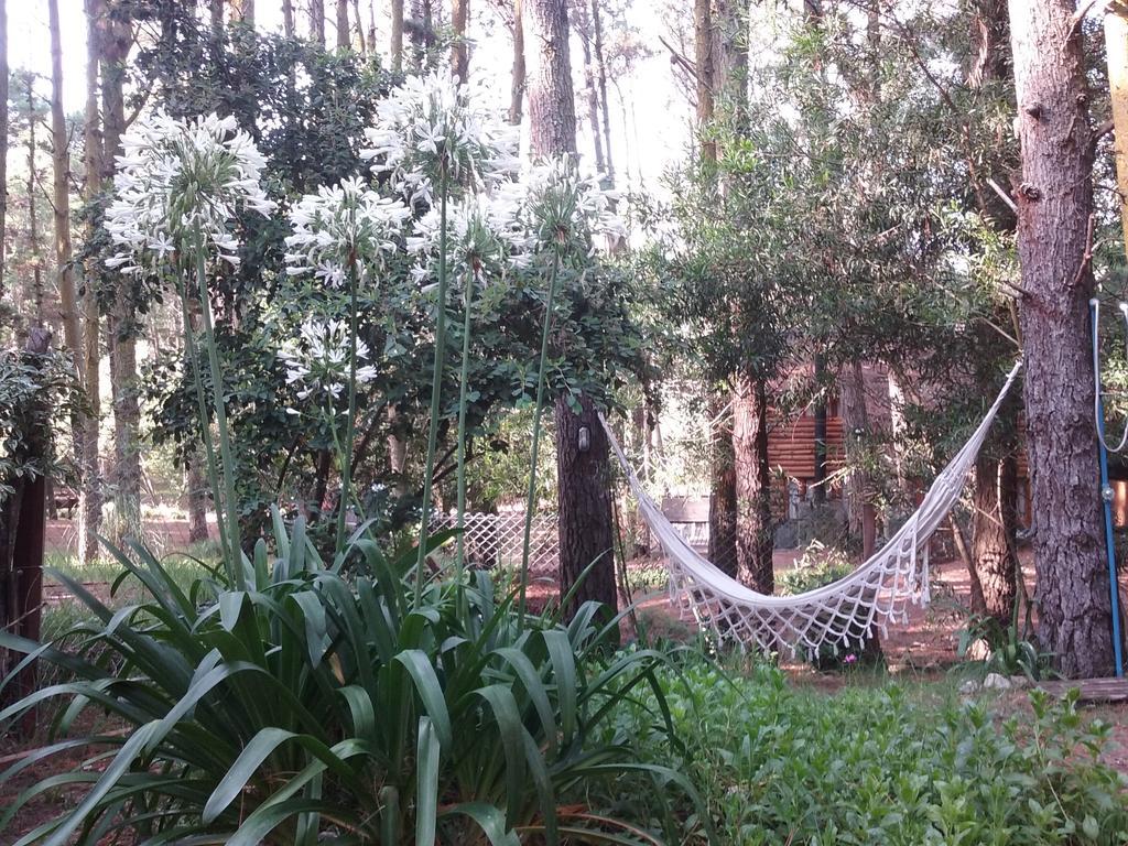 Cabanas Hurra Pampa มาร์ เด ลาส ปัมปาส ภายนอก รูปภาพ
